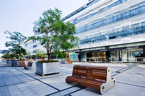 Westgate Resorts Timeshare Scam Allegations What You Need to Know